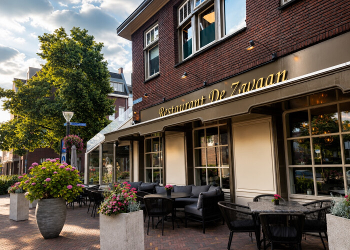 De Zwaan