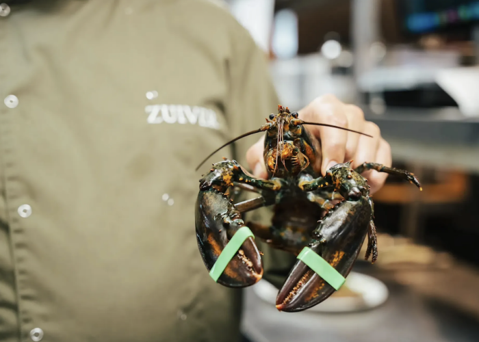 Zuiver Utrecht